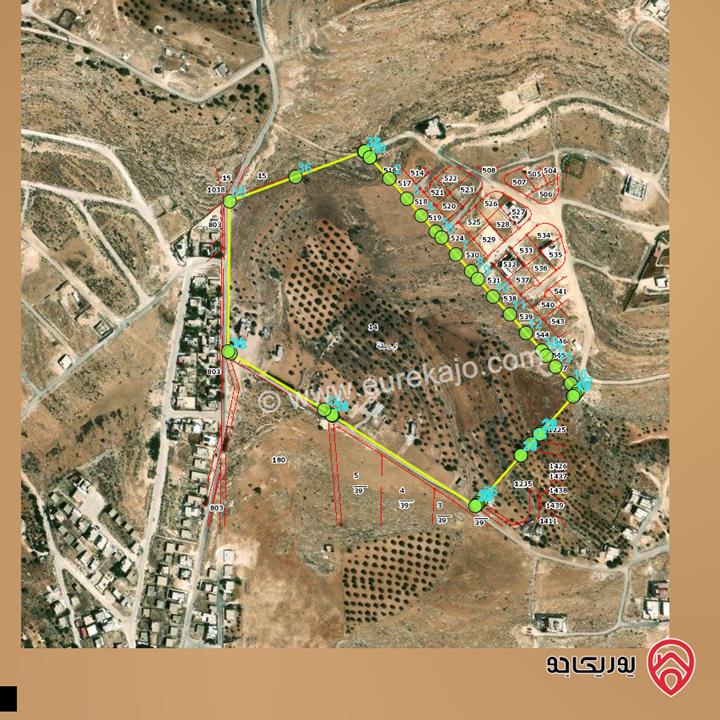 أرض مساحة 1 دونم مشترك للبيع في الزرقاء - منطقة ام رمانة 