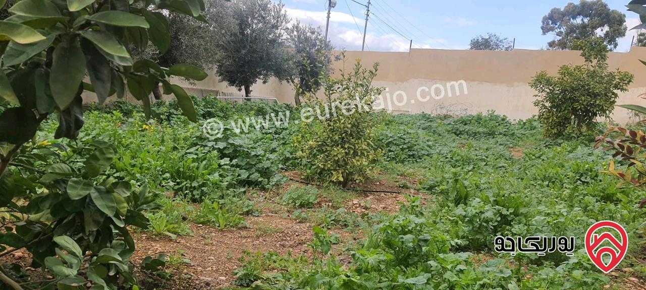 بيت ريفي مساحة 100م مع ارض 900م للبيع في الاغوار الشمالية - منطقة كريمة