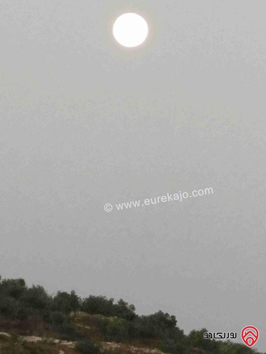 مزرعة مساحة 9 دونم مزروعة رمان و زيتون مرويه من خزان في نفس الارض للبيع في اربد - كفر سوم 