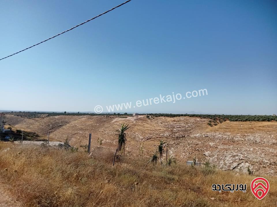 مزرعة مساحة 8700م للبيع في اربد بني كنانه منطقة يبلا 