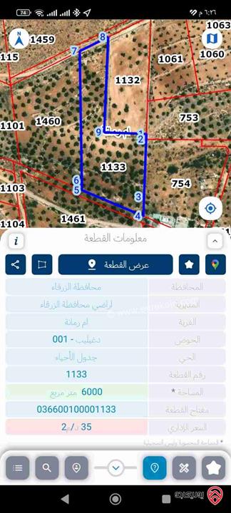 أرض مساحة 12 دونم للبيع في الزرقاء - منطقة ام رمانة 