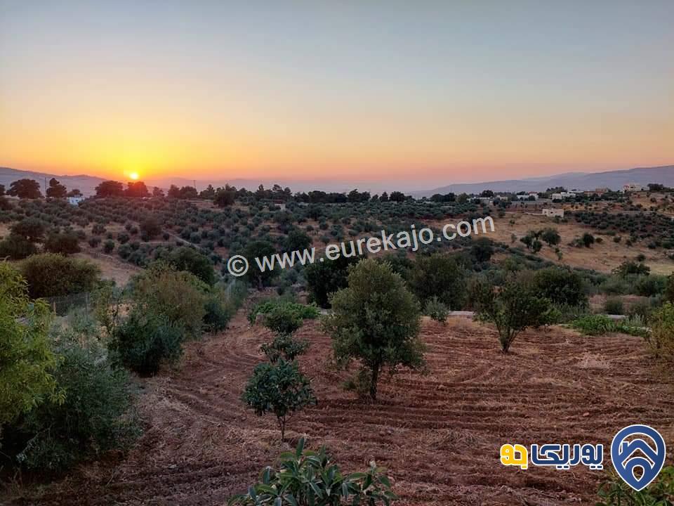 مزرعة فاخرة مساحة 5177م للبيع في الصبيحي-السلط