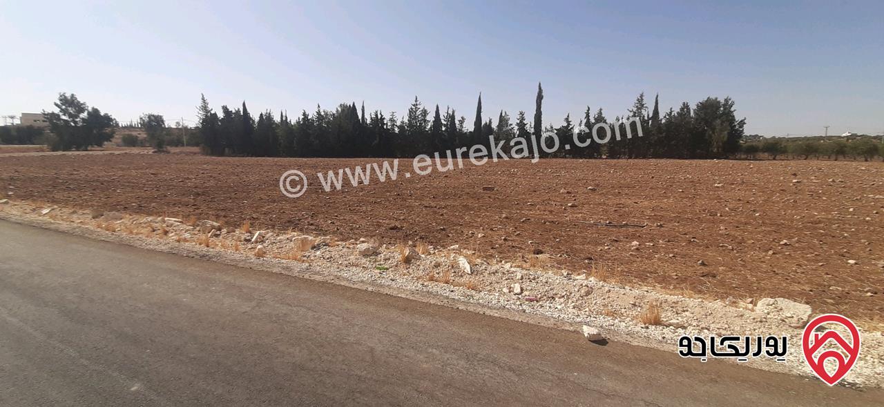قطعة أرض مساحة 1 دونم و 800م للبيع في عمان - ناعور