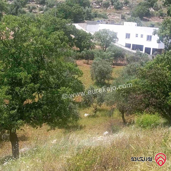 قطعة ارض مساحة 2600م للبيع في عمان - منطقة بدر الجديدة 