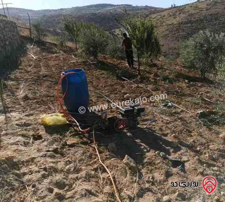 مزرعة كرز سقي مساحة 3 دونمات للبيع في جرش