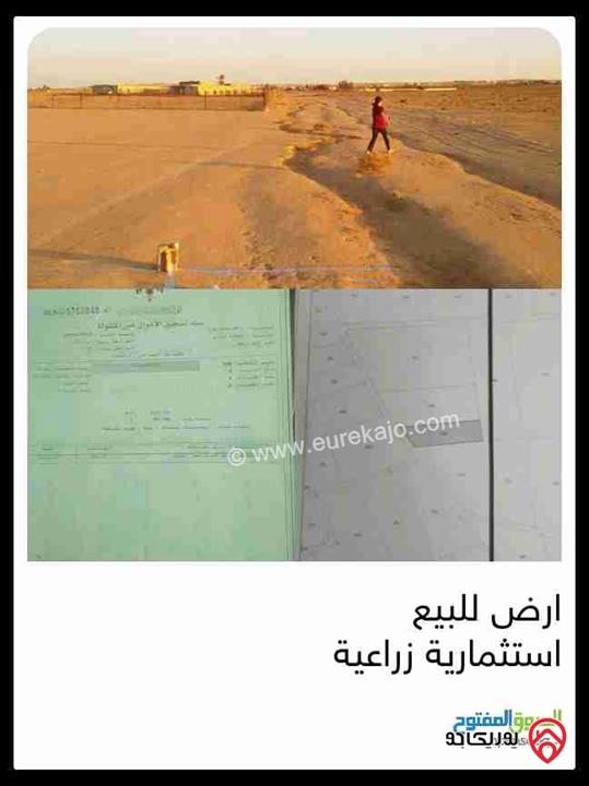 قطعة ارض مساحة 4 دونم و 630م للبيع في عمان - ضبعة