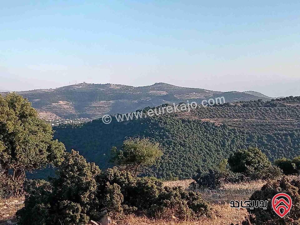 أرض مميزة مساحة 2 دونم للبيع في محافظة عجلون منطقة عنجرة / خربة الحنيش الأثرية 