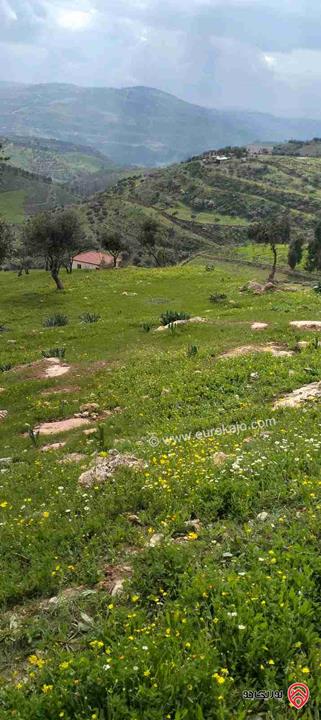 ارض مساحة 525م للبيع من اراضي جنوب عمان - القسطل - بوابة عمان