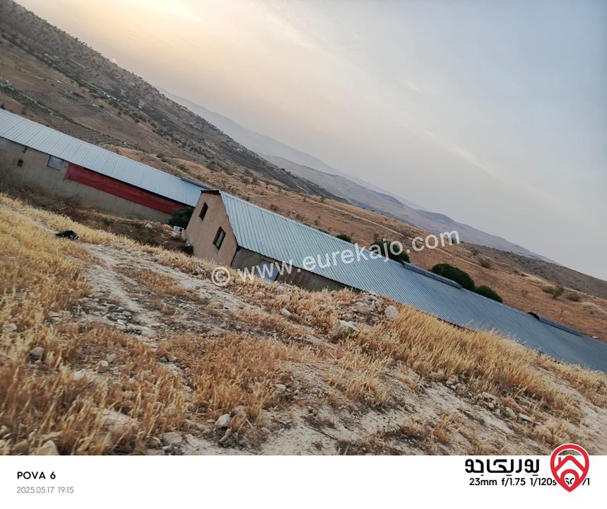 أرض مساحة 14 دونم للبيع في الزرقاء - صروت