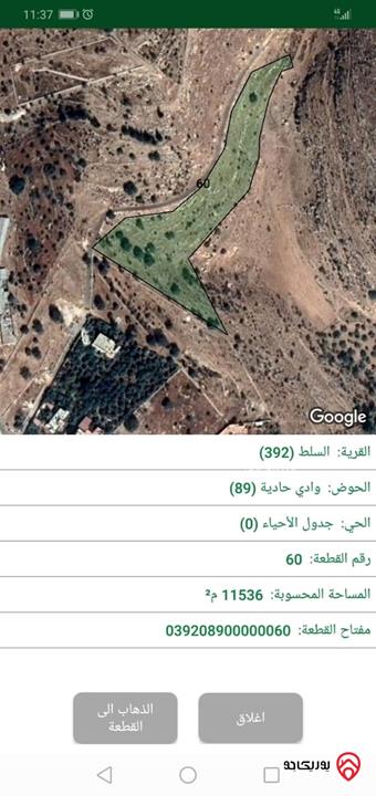 تملك الان قطعة ارض مميزة مساحة 11536 متر مربع في السلط بجانب شارع الستين