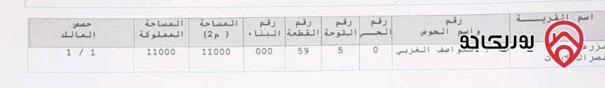 قطعة أرض مساحة 11 دونم للبيع في الزرقاء - منطقة الظليل