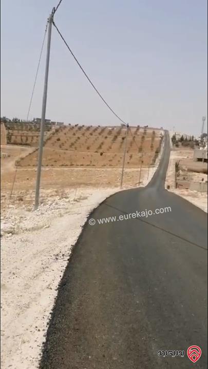 ارض مساحة 4 دونم للبيع في المفرق - بلعما - عين والمعمرية 