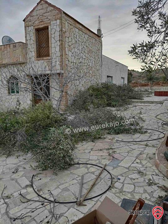 قطعة أرض مساحة 10 دونم و 704م للبيع في الزرقاء - بيرين