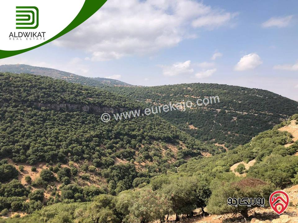 ارض للبيع في عمان - بدر الجديدة مساحتها 575م موقع اطلالة مميز