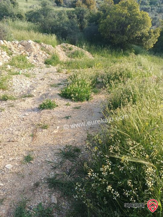 قطعة ارض سكنية مساحة 1 دونم و 145م للبيع في السلط