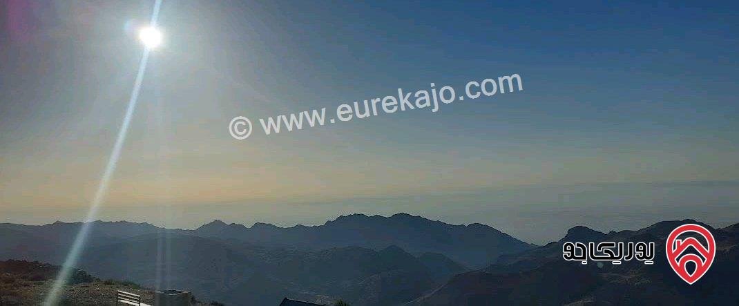 قطعة أرض مساحة 7 دونم و 500م للبيع في لواء الشوبك - قرية الجهير