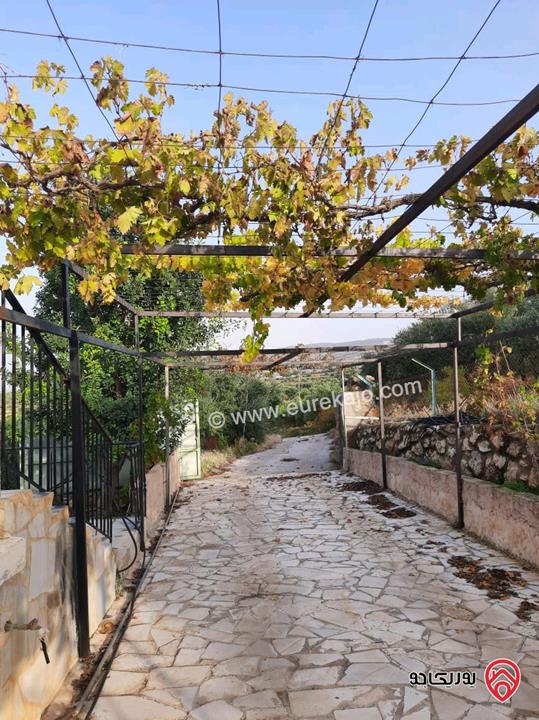 مزرعة زيتون مساحة الأرض 8 دونم و 300م و البناء مساحة 100م للبيع في السلط