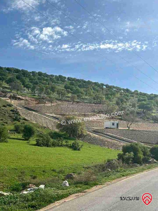  ارض مساحة 3 دونم و 400م فرصة استثمارية للبيع في الزرقاء - صروت بسعر مميز جدا 