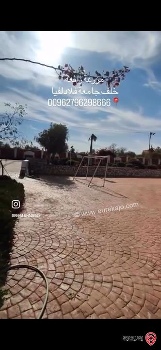 مزرعة فاخرة مساحة 5 دونم للبيع في جرش خلف جامعة فيلادلفيا منطقة تلعة الرز 