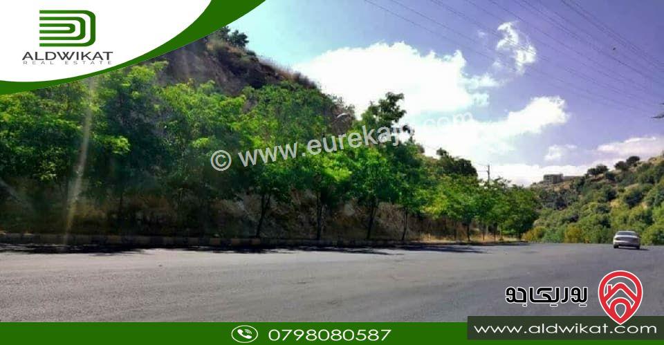 ارض للبيع في السلط / مقابل جامعة عمان الاهلية مساحتها 965م موقع مميز