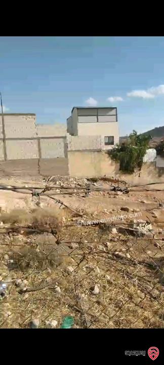 أرض مساحة 546م مزروعة بأشجار الزيتون للبيع في عمان - ناعور