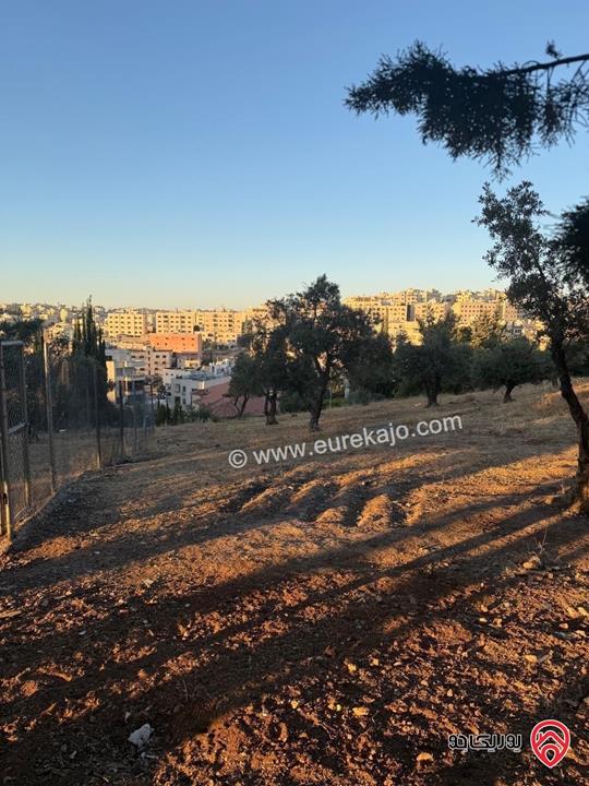 أرض مميزة و مطلة مساحة 1 دونم و 347م للبيع في عمان - عرقوب خلدا