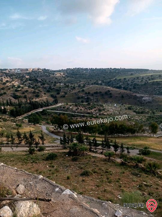 قطعة ارض مساحة 4 دونم للبيع في ماحص مطلة على جبال السلط وجبال فلسطين