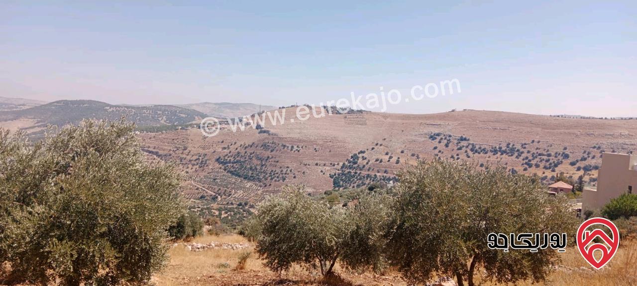 قطع أراضي زراعية مساحة 3 دونم / 4 دونم للبيع في السلط الزعتري سعر الدونم 37 الف