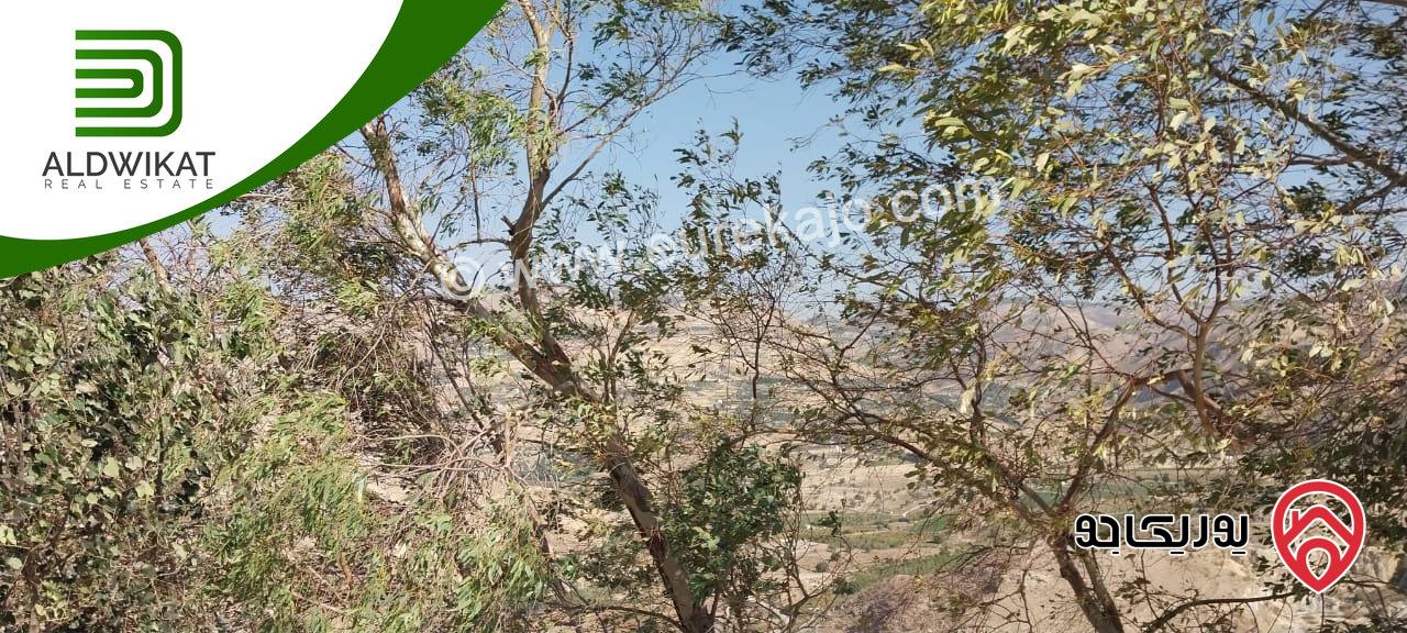 مشروع سياحي استثماري للبيع في ناعور / شارع البحر الميت مساحة الارض4650م والبناء 1000م موقع اطلالة مميز تصلح لمشروع استثماري