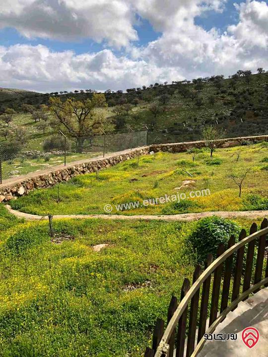 مزرعة مساحة دونم للبيع في الزرقاء - صروت 
