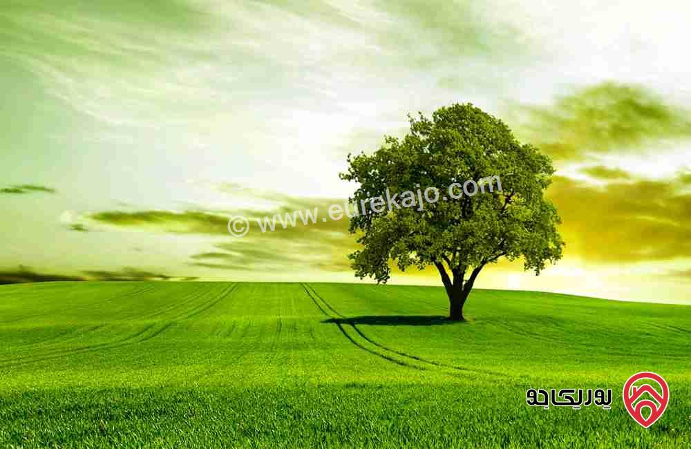 ارض مساحة 595م للبيع من اراضي جنوب عمان - اللبن