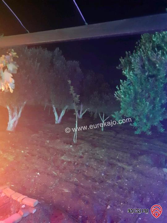 مزرعة مساحة الأرض 4 دونم والبناء 150م للبيع في عمان - ناعور