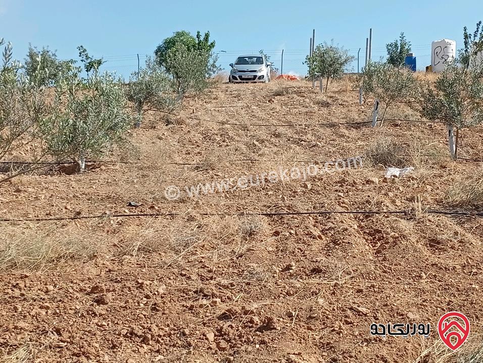 مزرعة مساحة الأرض 3 دونم و 400م بإطلالة للبيع في المفرق - بلعما