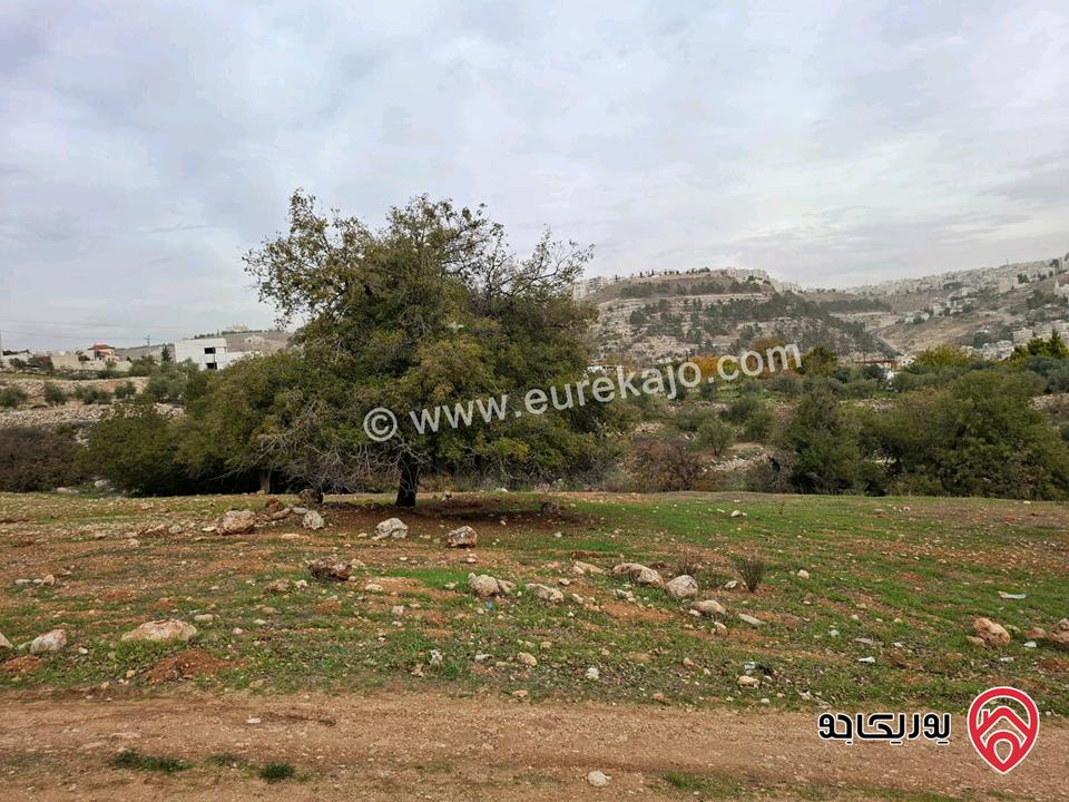 قطعة أرض مساحة 603م للبيع من أراضي غرب عمان - منطقة النعير منطقة وادي السير من المالك مباشرة 