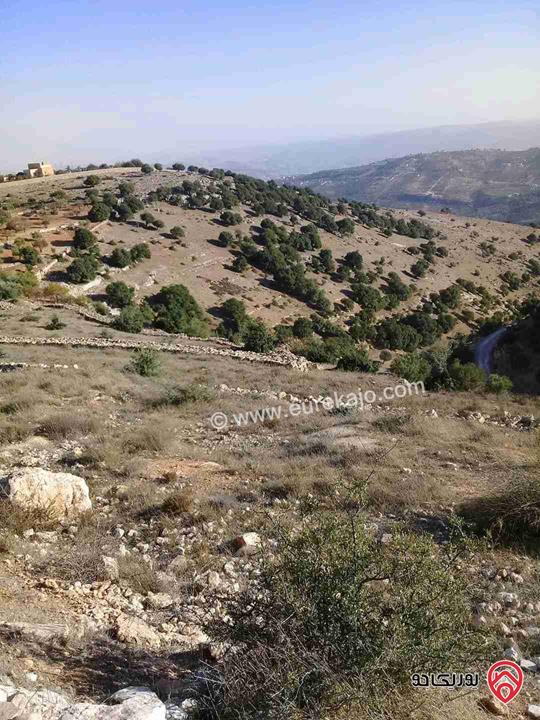 قطعة ارض مساحة 26 دونم للبيع في جرش - سوف