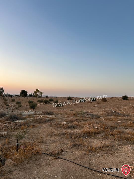 قطعة أرض مساحة 6 دونم للبيع من أراضي جنوب عمان - دليلة الحمايده