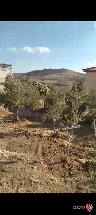 ارض مساحة 546م للبيع في عمان - ناعور زبود وسيل حسبان