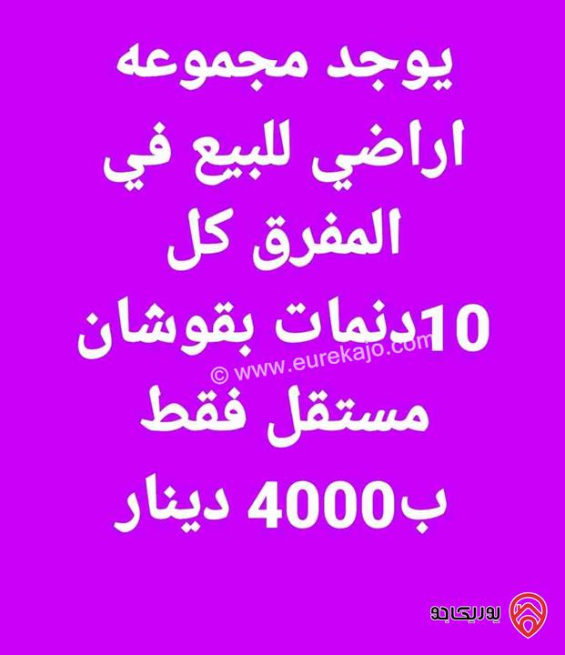 مجموعة اراضي مساحة 10 دونم  لكل أرض للبيع في المفرق بسعر 4 ألاف 