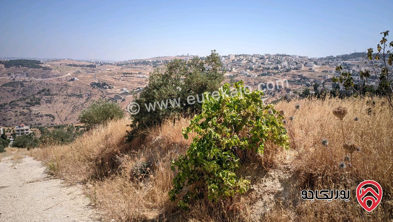 قطعة ارض مساحة 748م للبيع في عمان - ناعور 
