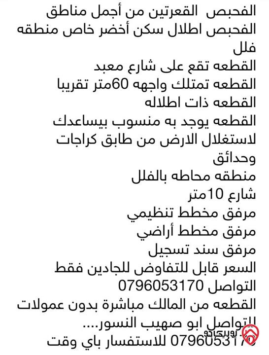 أرض مساحة 2 دونم للبيع في الفحبص القعرتيين
