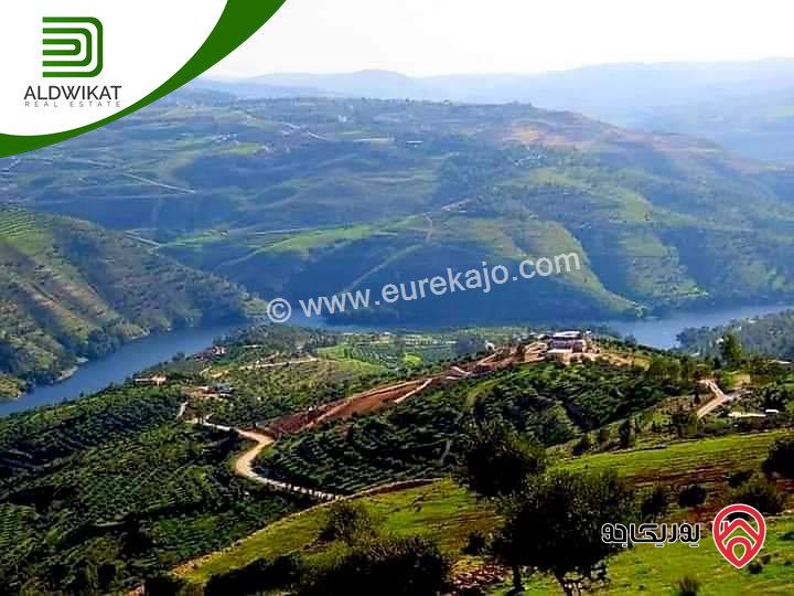 ارض للبيع في البلقاء - تل الرمان المساحة 10 دونم موقع اطلالة على سد الملك طلال يصلح لمشروع استثماري