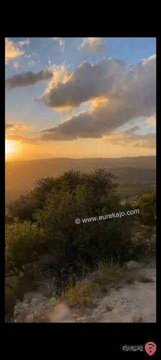 قطعة أرض مساحة 5856 متر للبيع في البلقاء - منطقة ماحص /الميده