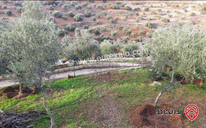 مزرعة زيتون مساحة الأرض 8 دونم و 588م و البناء مساحة 100م للبيع في السلط
