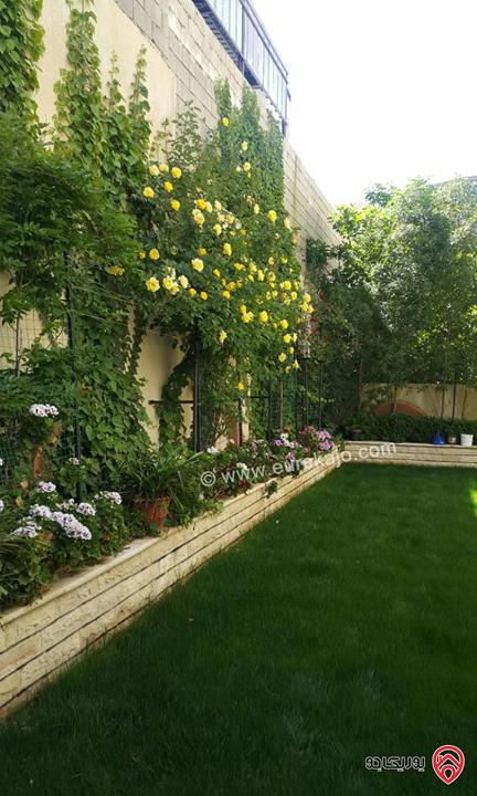 شقة مفروشة طابق ارضي مساحة 228م للايجار في عمان - تلاع العلي
