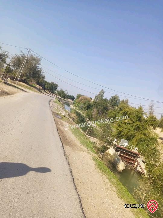 مزرعة حمضيات مساحة 16 دونم للبيع من أصل 29 دونم في الأغوار الشمالية