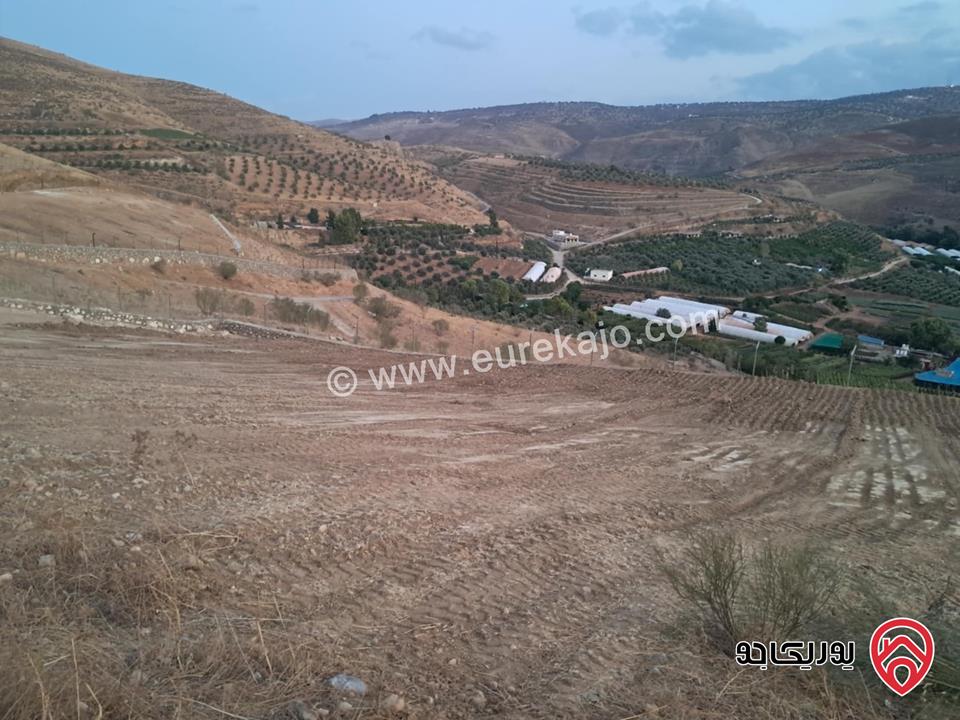 أرض مساحة 3 دونم و 796م قوشان مستقل للبيع من المالك مباشرة في جرش مطلة على سيل جرش، سنسال متر وشيك ارتفاع مترين على كامل القطعة بالاضافة الى شجر زيتون وحمضيات عدد 70