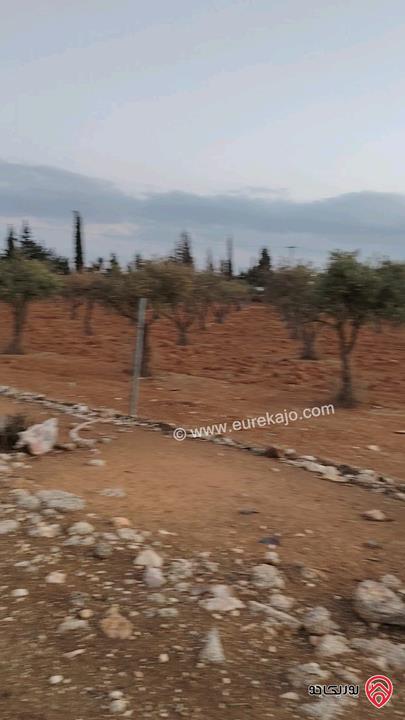 ارض مساحة 4 دونم و 500م للبيع في عمان - ام العمد حوض الحوام 