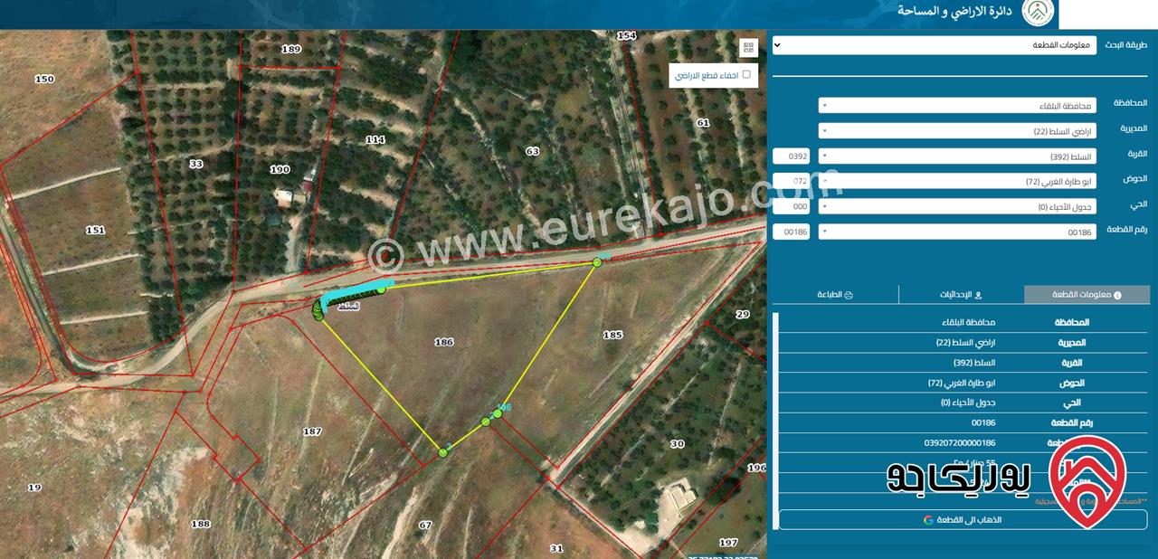 ارض مساحة 5 دونم و 24م للبيع في السلط - أبو طاره