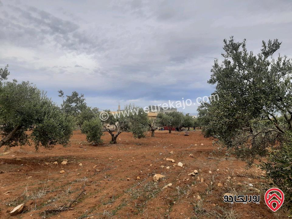 أرض مساحة 1 دونم و 74م للبيع في جرش سلحوب تبعد عن شارع الاردن تقريبا 2 كيلومتر، جميع الخدمات متوفرة ع شارع 12م