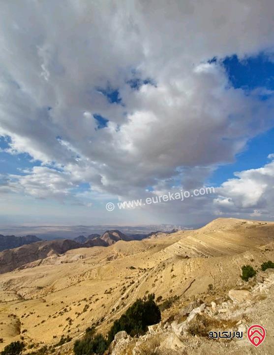 قطعة أرض مساحة 7 دونم و 500م للبيع في لواء الشوبك - قرية الجهير